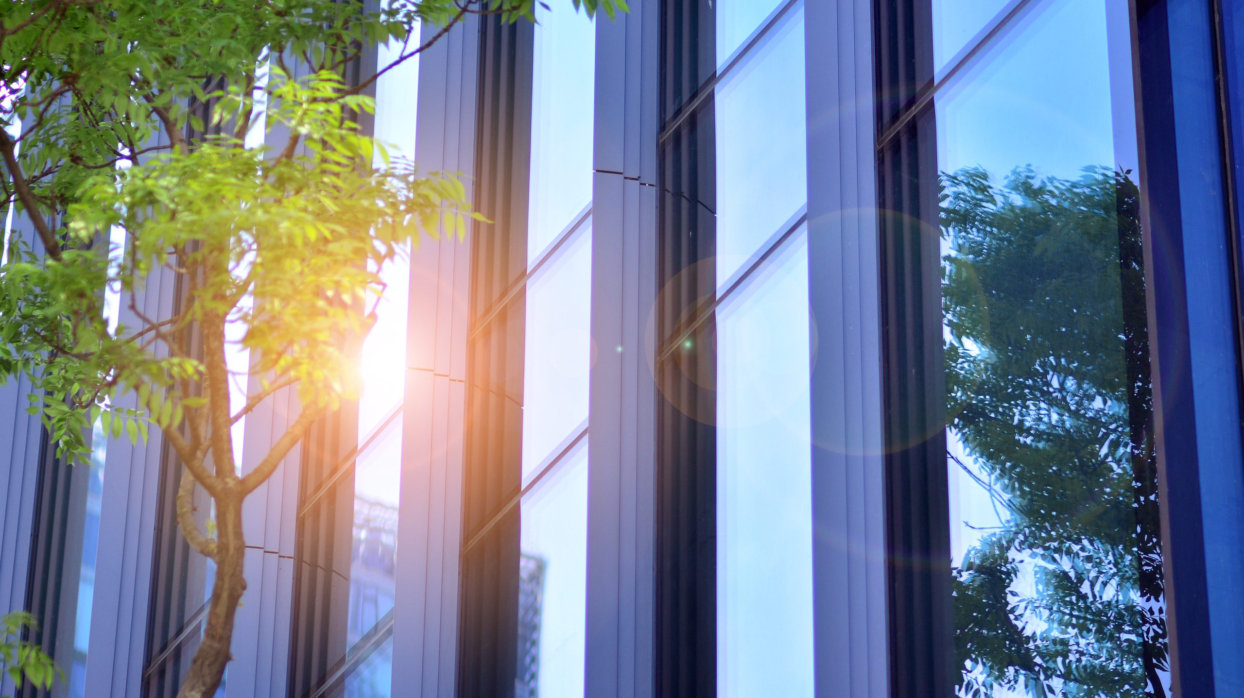 How Window Tinting Blocks Solar Heat: Understanding Solar Heat Rejection