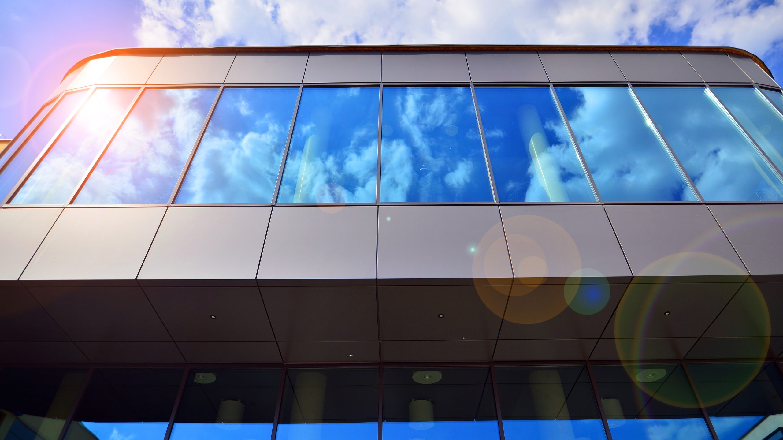 Office Window Tinting: Reduce Screen Glare and Improve Productivity