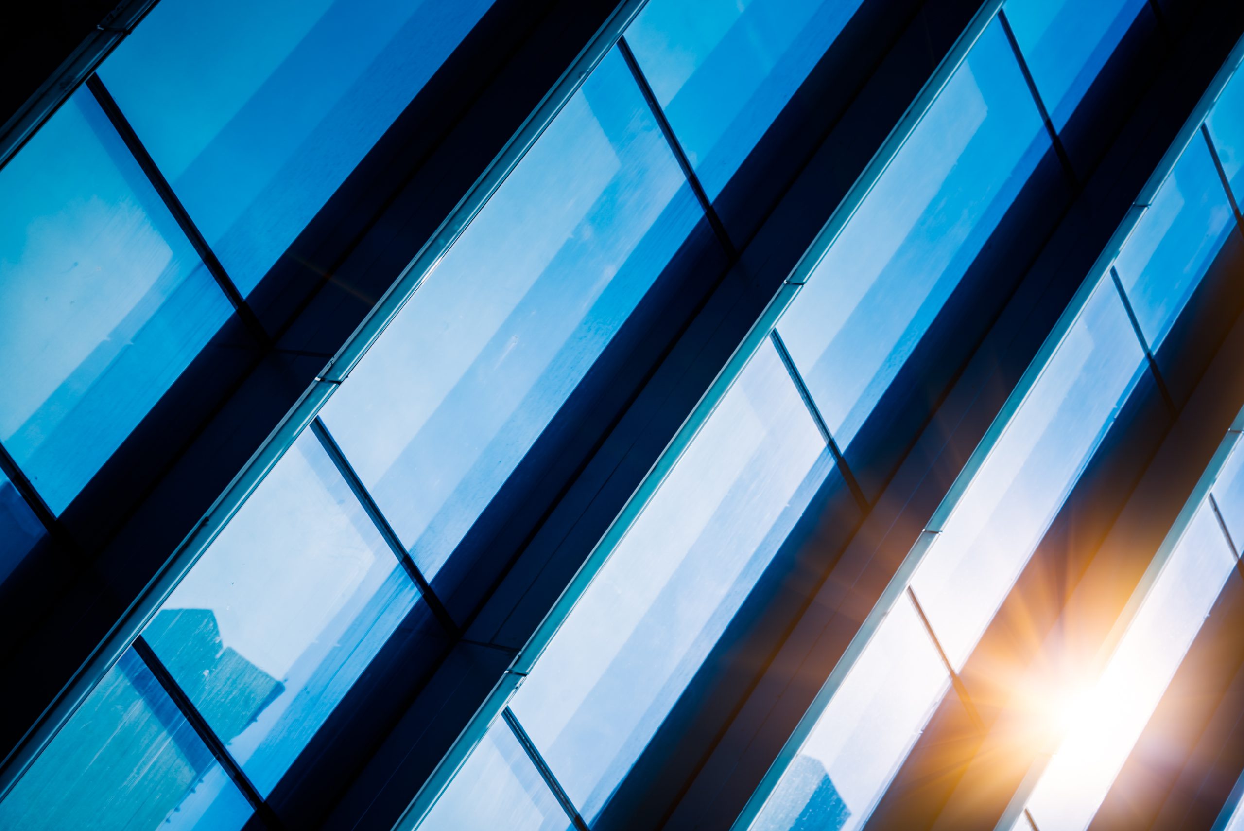 How Window Film Helps Businesses Reduce Energy Costs